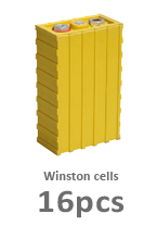 Winston cells